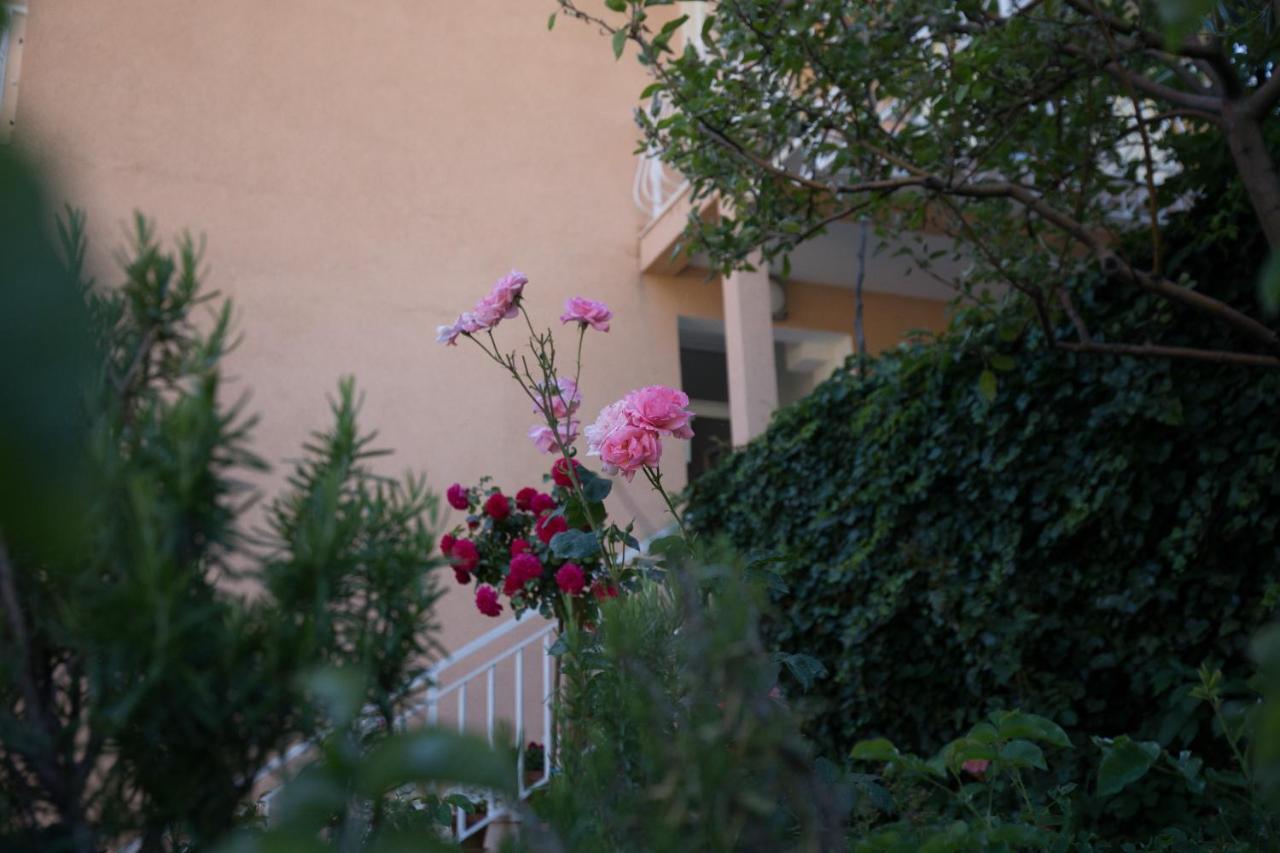 Villa Dubravka ムリニ エクステリア 写真