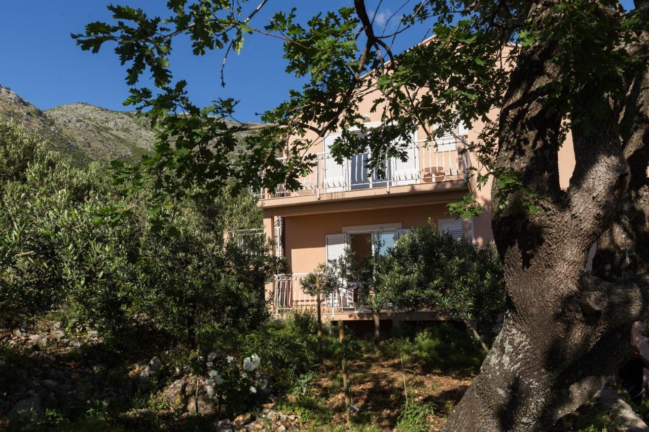 Villa Dubravka ムリニ エクステリア 写真